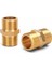 1" 1/4 Sarı Nipel (Lisinya) Alithestereo 1