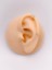 Halka Zirkon Taşlı Kelebek Figürlü Kıkırdak Helix Tragus 1 Adet Piercing 2