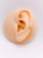 Halka Zirkon Taşlı Kelebek Figürlü Kıkırdak Helix Tragus 1 Adet Piercing 3
