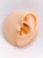 Halka Zirkon Taşlı Kelebek Figürlü Kıkırdak Helix Tragus 1 Adet Piercing 4