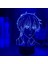 Akrilik 3D Lamba Anime Meyve Sepeti Kyo Sohma Yatak Odası Dekoru Için Gece Lambası Çocuk Doğum Günü Hediyesi Odası Masası LED Işık Manga (Yurt Dışından) 4