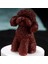 Kalıp-C Tarzı Yeni 3D Küçük Hayvan Mum Silikon Kalıp Teddy Köpek Kafası Mum Kalıbı Hayvan Şekli Parfüm Mum Yapımı Balmumu Kalıp Mum Kalıbı (Yurt Dışından) 5