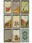 2022 Yeni Lenormand Oracle Cards Ingilizce Versiyonu Tarots 44-Card Deck Kehanet Masa Oyunu (Yurt Dışından) 1