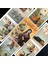 TS164 Stili Yeni Varış Yüksek Li Laura Tuan Lenormand Oracle Tarot Kartları Fal Rehberliği Kehanet Güverte Tahta Oyunu Anlatıyor (Yurt Dışından) 5