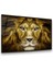 Aslan Yatay Cam Tablo 1