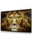 Aslan Yatay Cam Tablo 3