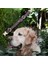 Gerçek Deriden El Yapımı Köpek Tasması, Apple Airtag Uyumlu Yuva, 50CM Ayarlanabilir Ölçü, Antik Mor 1