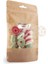 Kraft Geni̇ş Pencereli̇ Ki̇li̇tli̇ Doypack 13 x 22+4 cm 250 gr 1000 Adet 2