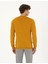 Erkek Safran Slim Fit Bisiklet Yaka Yün Karışımlı Basic Triko Kazak 50270054-VR043 5