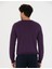 Erkek Mor Slim Fit Bisiklet Yaka Basic Triko Kazak 50270179-Vr038 5