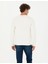 Erkek Ekru Regular Fit Sweatshirt 50276187-VR019 5