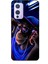 Oneplus 9 Kılıf Caliburn 20 Maymun Mavi Renkli Kılıf 1