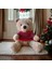 Toyzz 40 cm Ayı Pelus Oyuncak Uyku Arkadasi Ayıcık 1