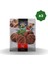 Köfte Harcı 100 gr x 3 Adet 1