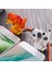 Komik Çabalayan Köpek Hızlı Şarj Kablosu Şarj Hattı Sevimli Hızlı Şarj Güç Kablosu iPhone USB Tip-C Cep Telefonları Şarj Cihazı (Yurt Dışından) 5