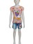 Daisy Duck Dijital Baskılı Kot Görünümlü Şort T-Shirt Takım 1