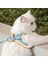 Mavi Stil S Beden Kedi Koşum ve Tasma Seti Chihuahua Yavrusu Için Yansıtıcı Kedi Koşum Yelek Yürüyüş Kurşun Tasma ile Sevimli Süet Pet Kedi Koşumları (Yurt Dışından) 4
