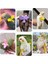 Pembe Stil 2-Xs Papağan Uçan Koşum Tasma Takım Pet Kuş Açık Uçuş Eğitim Halat Papağan Malzemeleri Budgie Için Amerika Papağanı Aksesuarları Şeyler (Yurt Dışından) 3