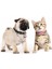 Kırmızı Stil Xs Beden Kedi Yaka Kişiselleştirilmiş Kediler Ayrılabilir Hızlı Bırakma Güvenliği Yavru Kedi Yaka Kazınmış Balık Kimliği Etiketi Isimli Kolye Çanlı (Yurt Dışından) 3