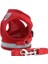 Kırmızı Örgü Stili Xs-Takım 0.6-1.5kg Kediler Için Yansıtıcı Pet Kedi Koşum ve Tasma Seti Evcil Hayvanlar Için Ürünler Mesh Kedi Koşum Gotas Accesorios Kedi Koşum (Yurt Dışından) 1