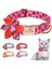 Çilek Tarzı 35-56CM Güzel Meyve Kedi Yaka Kişiselleştirilmiş Köpek Kediler Naylon Yaka Anti-Kayıp Naylon Köpek Yaka Çiçek Ücretsiz Oyulmuş Kimlik Tokası (Yurt Dışından) 2