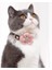 Pembe Tarzı 1.0X35CM Çan Papyonlu Kedi Yaka Kediler ve Küçük Köpekler Için Kedi Yaka Kedi Yaka Yavru Kedi Aksesuarları Kitty Pet Ürünleri Çiçek Kolye (Yurt Dışından) 3