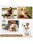 Siyah Stil Ayarlanabilir Kedi Koşum Yelek Kolu ile Askeri Pet Eğitim Koşum Örgü Küçük Köpekler Için Kedi Açık Yürüyüş Kedi Yelek Koşum (Yurt Dışından) 4