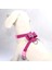 Siyah Stil S Beden Bling Rhinestone Pet Kedi Koşum Kadife Tasma Küçük Kitteuahua Pembe Yaka Evcil Hayvan Ürünleri Için Ilmek ile (Yurt Dışından) 5