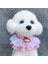 Kırmızı Stil M Beden Pet Yaka Prenses Kedi Köpek Kolye Köpek Yaka Köpek Styling Güzel Köpek Kedi Kolye Dekor Küçük Köpek Için Tasmalar (Yurt Dışından) 3