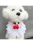 A1 Stili M Beden Kiraz Önlüğü Dantel Dekor Pet Yaka Önlük Sevimli Bandana Önlükler Köpek Yaka Kedi Eşarp Pet Kolye Kravat Papyon Köpek Düğün Aksesuarları (Yurt Dışından) 3