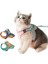 Mavi Stil S Beden Kedi Koşum ve Tasma Seti Yürüyüş Için Ayarlanabilir Yumuşak Yavru Kedi Yelek Küçük Kediler Için Rahat Açık Hava Yeleği Köpek Koşum Takımı (Yurt Dışından) 2
