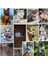 B-Gri Tarzı L Beden Kedi Köpek Koşum Halat Setleri Nefes Lüks Tasarımcı Göğüs Bandı Yansıtıcı Ayarlanabilir Evcil Hayvan Koşum Giyim Kediler Aksesuarları Için (Yurt Dışından) 5