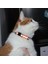 No.2 Tarzı Kedi Yaka Kişiselleştirilmiş Naylon Köpek Tasması Gece Güvenliği Ayarlanabilir Yansıtıcı Köpek Tasma Köpek ve Kedi Aksesuarları Için Pet Kolye (Yurt Dışından) 4
