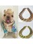 Altın Tarzı 36CM 36CMCM Ayarlanabilir Köpek Kedi Punk Zincir Yaka Kurşun Geniş Kolye Evcil Hayvan Ürünleri Için Pet Aksesuarı Köpek Aksesuarları Ekipman Araçları (Yurt Dışından) 2