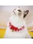 Çok Renkli Stil Xl Beden Kedi Yaka El Dokuması Sevimli Kedi Örme Kolye Isıtıcı Köpek Örme Eşarp Yeni Yıl Moda Pet Aksesuarları Kedi Aksesuarları Pet (Yurt Dışından) 3