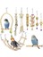 3 Adet Typeh Tarzı Adet Kuş Çiğneme Oyuncak Komik Pamuk Halat Papağan Oyuncak Isırmaya Dayanıklı Cockatiels Parakeet Eğitim Oyuncak Kuş Aksesuarları Kafes (Yurt Dışından) 2
