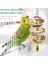 3 Adet Typeh Tarzı Adet Kuş Çiğneme Oyuncak Komik Pamuk Halat Papağan Oyuncak Isırmaya Dayanıklı Cockatiels Parakeet Eğitim Oyuncak Kuş Aksesuarları Kafes (Yurt Dışından) 5
