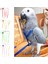 Yeşil Stil Pet Kuş Koşum ve Tasma Ayarlanabilir Papağan Kuş Koşum Tasma Pet Anti Bite Eğitim Halatı Yumuşak Taşınabilir Pet Oyuncaklar Açık (Yurt Dışından) 2