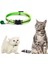 No.15 Tarzı Kedi Yaka Kişiselleştirilmiş Naylon Köpek Tasması Gece Güvenliği Ayarlanabilir Yansıtıcı Köpek Tasma Köpek ve Kedi Aksesuarları Için Pet Kolye (Yurt Dışından) 3