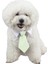 Kırmızı Yıldız Tarzı 31CM Yeni Pet Kravatlarstripe Küçük Pamuk Pet Köpek Yavrusu Kravat Ayarlanabilir Papyon Tımar Moda Köpek Kedi Çizgili Papyon (Yurt Dışından) 5