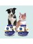 Sarı Stil Kedi Için S 38CM Köpekler Için Pire ve Kene Önleme Evcil Kedi Doğal ve Hipoalerjenik Pire ve Kene Tasması 8 Aylık Kedi Sivrisinek Kovucu Tasma (Yurt Dışından) 3