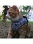 C-Turuncu Tarzı M Beden Kedi Köpek Koşum Halat Setleri Nefes Lüks Tasarımcı Göğüs Bandı Yansıtıcı Ayarlanabilir Evcil Hayvan Koşum Giyim Kediler Aksesuarları Için (Yurt Dışından) 3