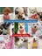 No.21 Tarzı 27-37CM Sevimli Pet Malzemeleri Küçük Köpek Tükürük Havlusu Japon Tavşan Eşarp Kedi Üçgen Eşarp Köpek Eşarp Yavru Kedi Yaka Köpek Tasma Köpek Malzemeleri (Yurt Dışından) 4