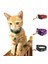 No.1 Tarzı Ay Yıldız Kolye Pet Kedi Yaka Toka Kedi Yaka Çan Ayarlanabilir Yavru Köpek Aksesuarları ile Kedi Toka Yaka Kedi Kolye (Yurt Dışından) 4