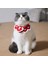 Yeşil Stil S Boyun 20-25CM Noel Kırmızı Örme Kedi Yaka Eşarp Sevimli El Yapımı Tığ Yavru Tavşanlar Bandana Evcil Küçük Köpekler Kolye Aksesuarları x (Yurt Dışından) 3