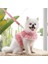Pembe Stil S Beden Tasma ile Kedi Köpek Koşum Pet Çiçek Dantel Elbise Köpek Yavrusu Ayarlanabilir Yelek Yaka Açık Yürüyüş Chihuahua Schnauzer (Yurt Dışından) 3