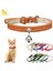 Kara Kedi Yaka Stili S Beden 9 Renk Bling Deri Kedi Yaka Çan ile Emniyet Köpek Yavrusu Boyun Askısı Yaka Kedi Chihuahua Aksesuarları Için Pet Ürün (Yurt Dışından) 4