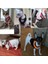 Mavi Stil Xs 0-1.5kg Kedi Köpek Ayarlanabilir Koşum Yelek Yavru Köpekler Için Yürüyüş Kurşun Tasma Küçük Orta Köpek Için Polyester Örgü Koşum Kedi Kedi Pet (Yurt Dışından) 3