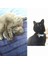 Kırmızı Stil 1.0X30CM 1 Adet Pet Köpek Kedi Yaka Güvenlik Elastik Çan ile Pet Küçük Köpek Kedi Yaka Yumuşak Kadife Pet Ürünleri Pet Malzemeleri (Yurt Dışından) 5