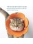 Sarı Stil L Beden Ayçiçeği Şekilli Kedi Kurtarma Yaka Elizabethan Yaka Kitten Puppy x Için Yara Iyileştirici Koruyucu Koni (Yurt Dışından) 2